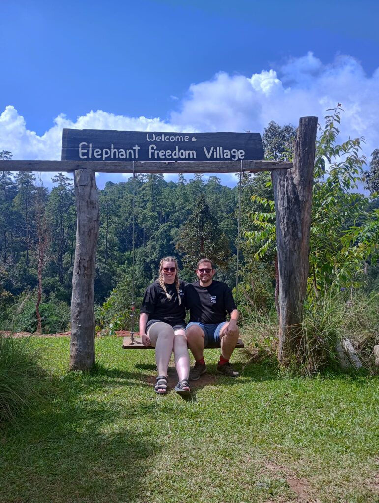 elephant sanctuary, Chiang Mai, digital nomad hub